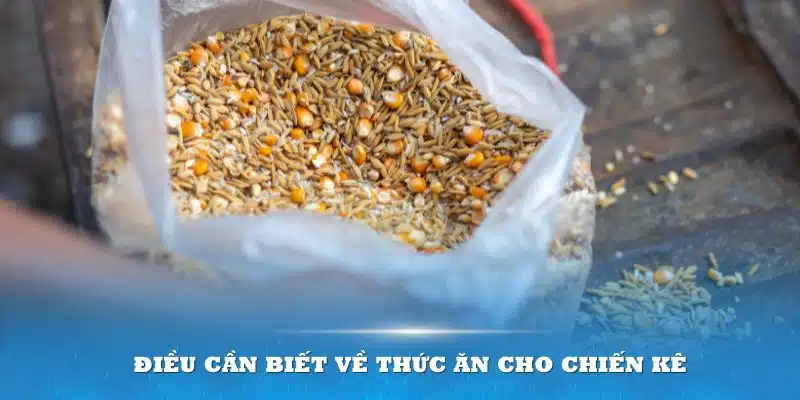 Điều cần biết về thức ăn cho chiến kê